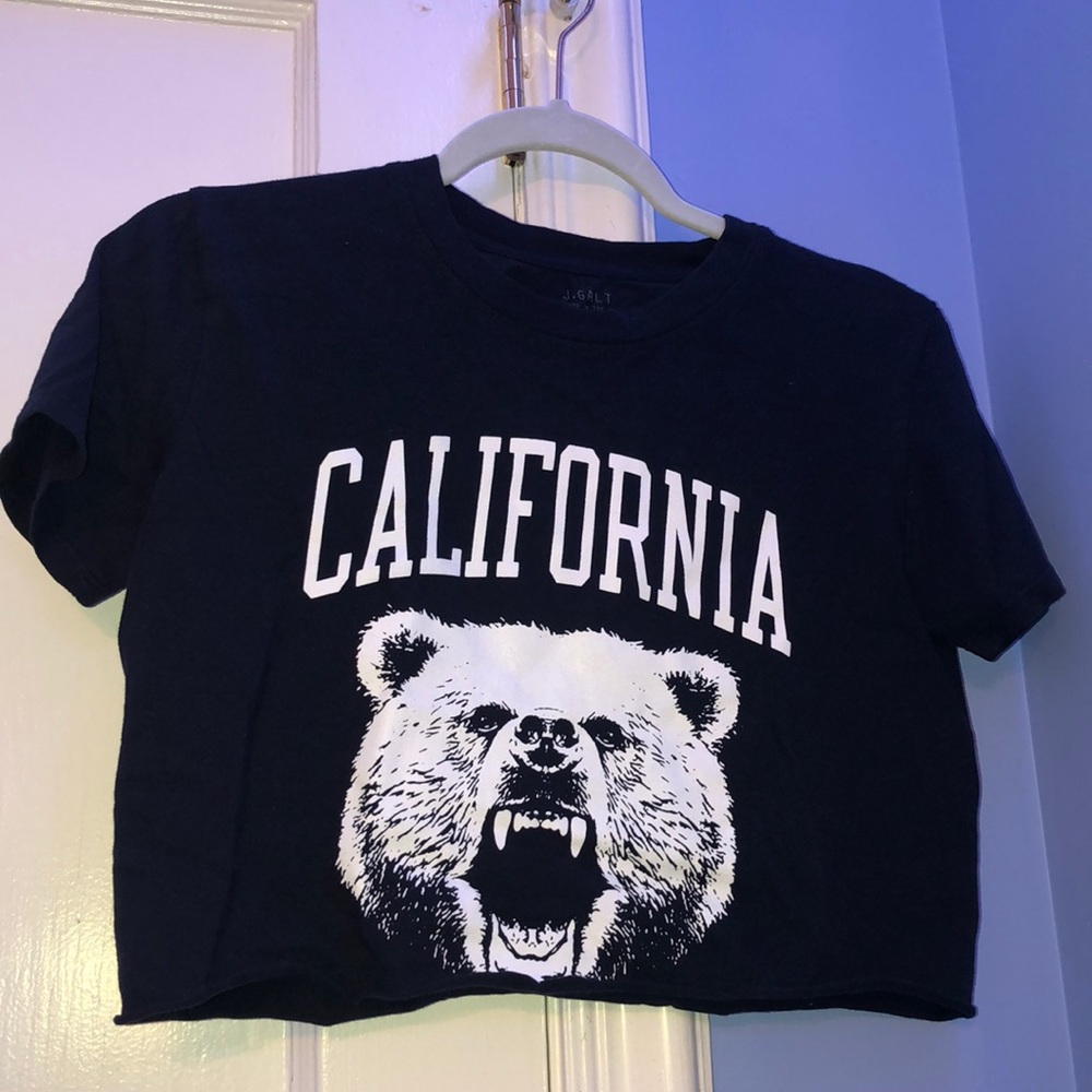 Brandy Melville (J. Galt) California Bear Crop Top